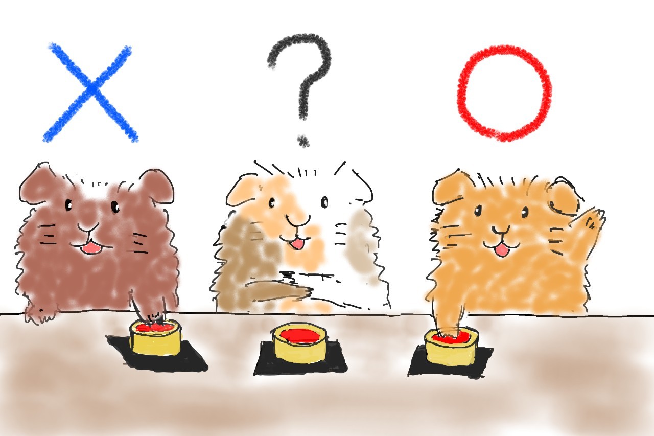 quiz