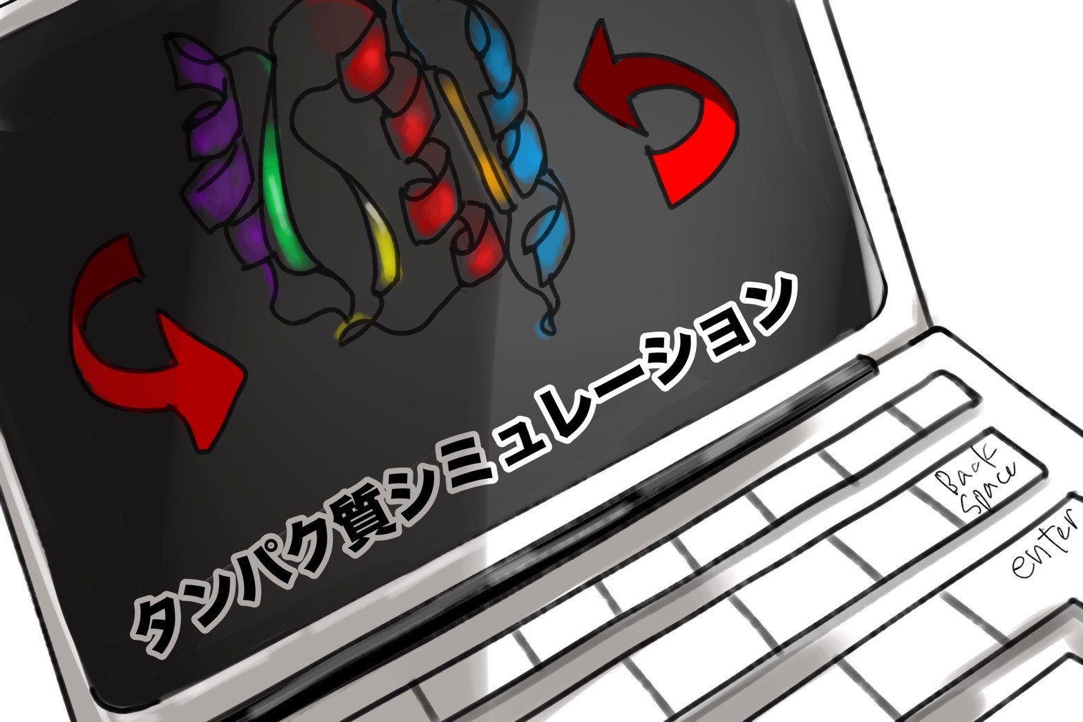 sketch display